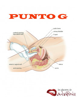 Ubicación del Punto G