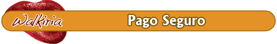 Pago seguro