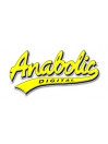 Anabolic